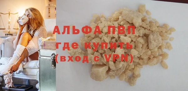 дмт Ельня