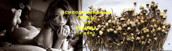 дмт Ельня