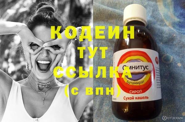 дмт Ельня