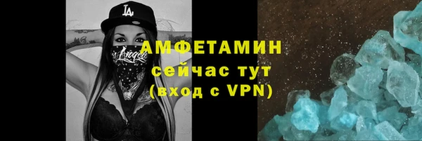 дмт Ельня
