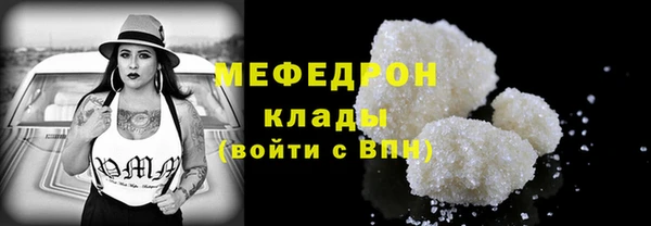 дмт Ельня