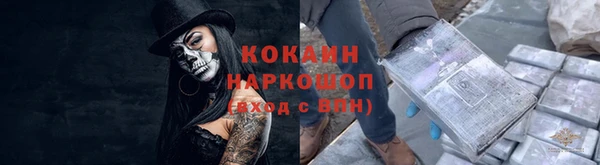 альфа пвп Елизово
