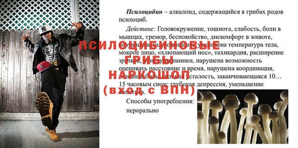 альфа пвп Елизово