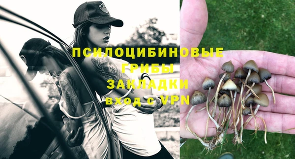 альфа пвп Елизово
