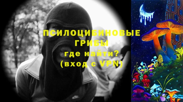 альфа пвп Елизово