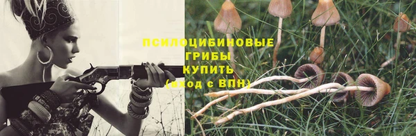 альфа пвп Елизово