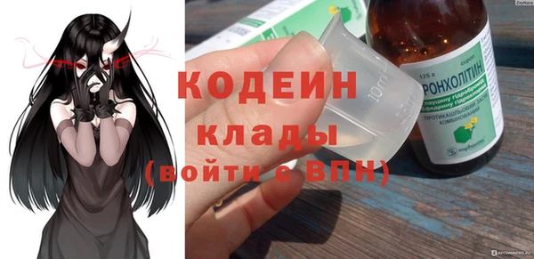 дмт Ельня