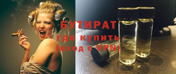 дмт Ельня