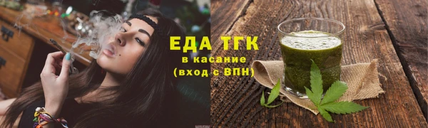 дмт Ельня