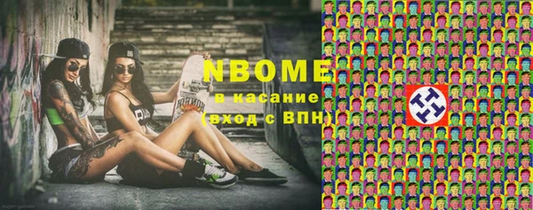 альфа пвп Елизово