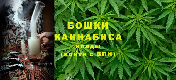 дмт Ельня